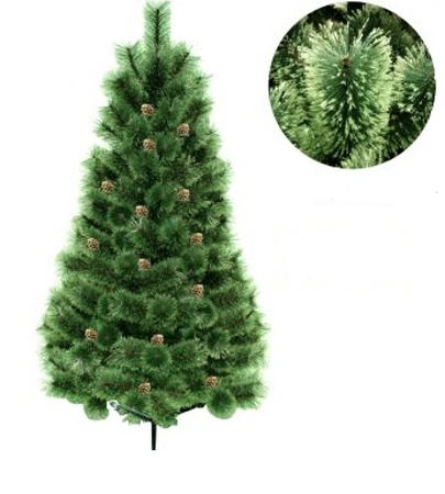 Vianočný stromček borovica Klára